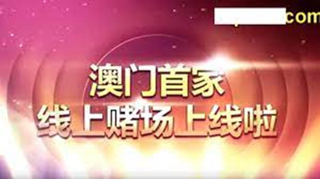 澳门天天开好彩大全,社会责任执行_R版32.141