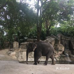 深圳最新动物园，自然与科技的和谐融合之旅