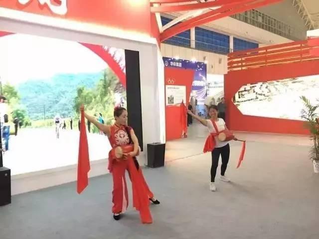 王欣最新项目引领变革，探索未来之路