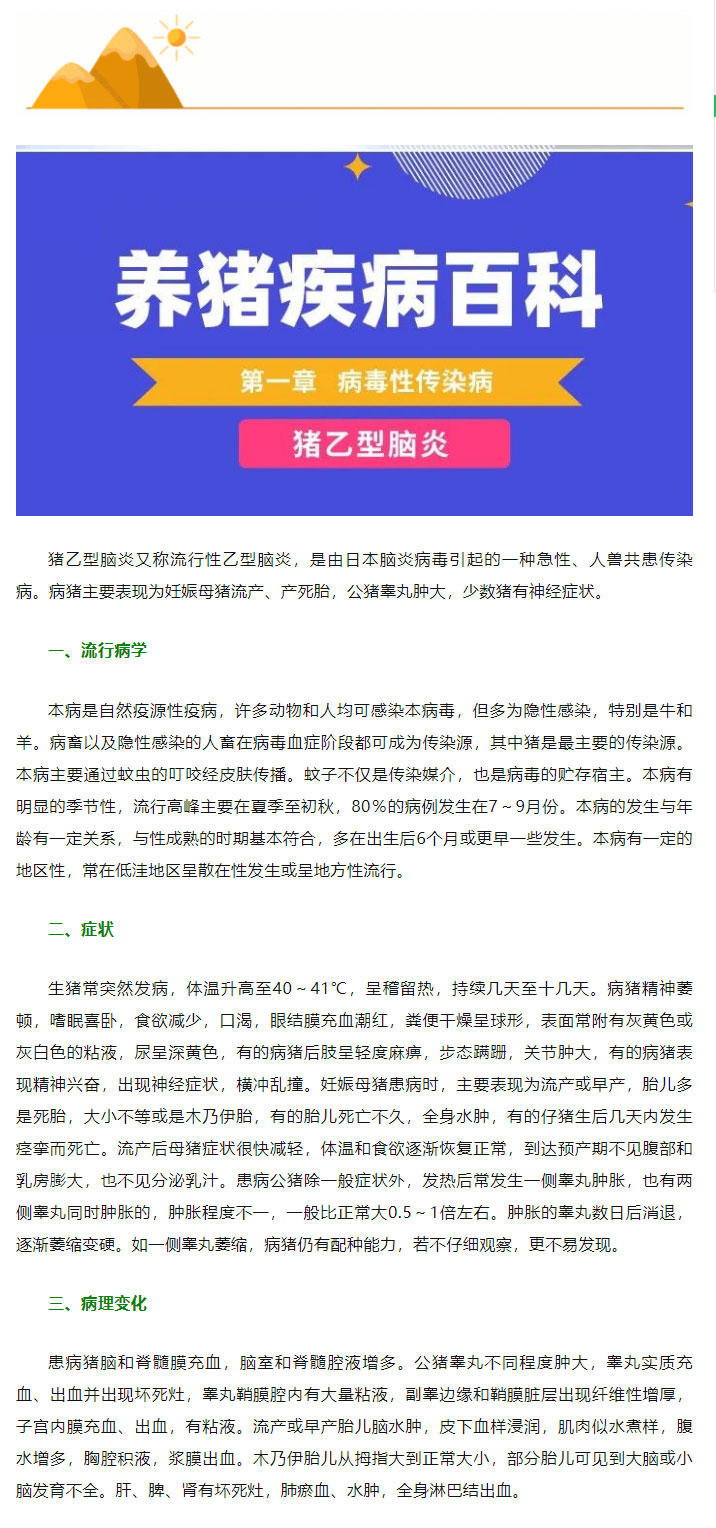 最新传染病猪的挑战及应对策略